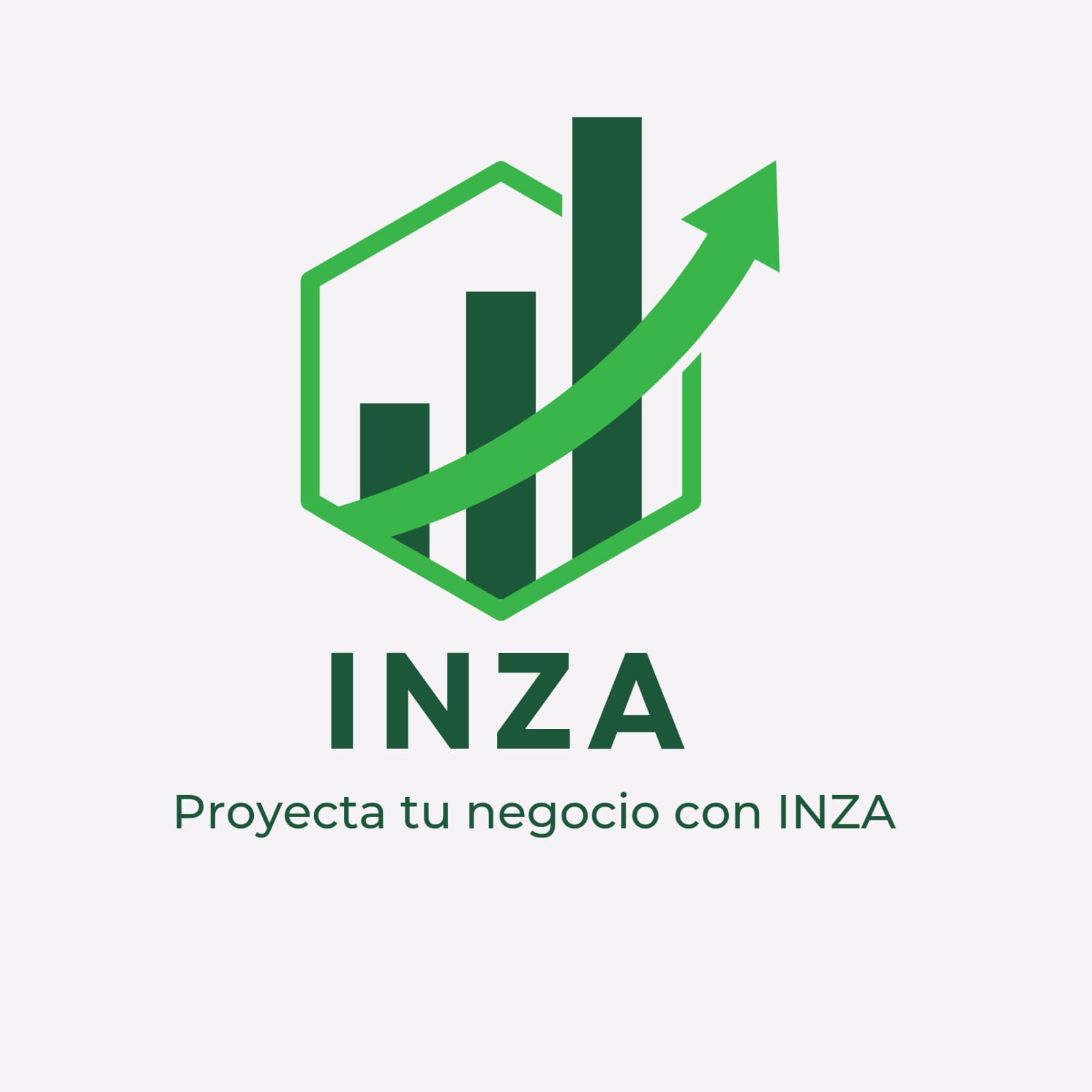 Logo INZA